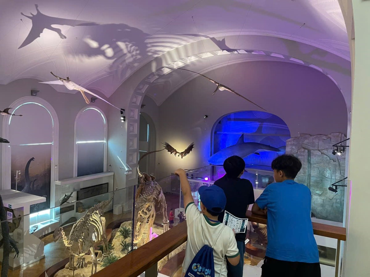 Trại hè Filand Summer Study